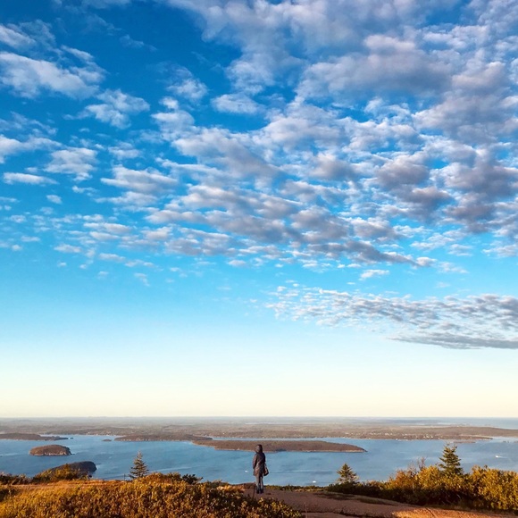 Meet your Posher, Diana - Picture 1 of 1